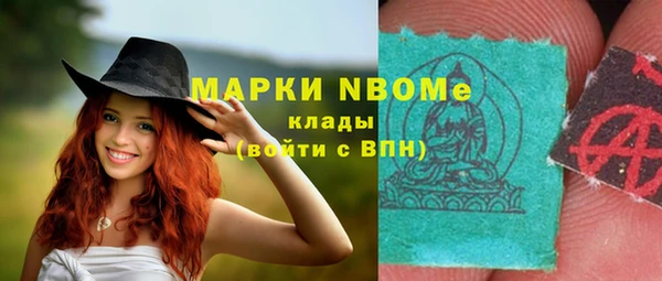 шишки Абинск