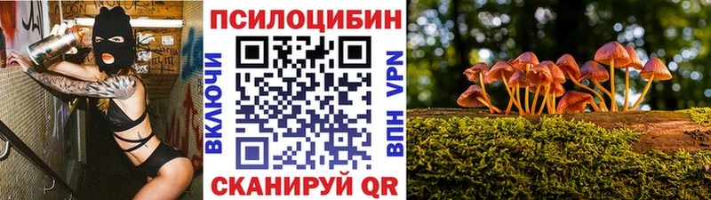 мега ССЫЛКА  Заринск  Галлюциногенные грибы ЛСД  цена  