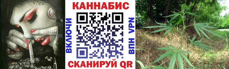 Бошки Шишки семена  наркошоп  ссылка на мегу   Заринск 